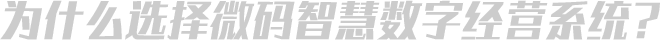 智慧数字经营